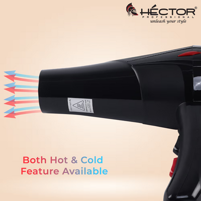 Hector Professional HT- 2300W Hair Dryer