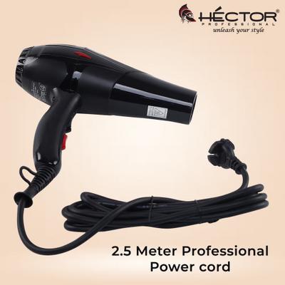 Hector Professional HT- 2300W Hair Dryer