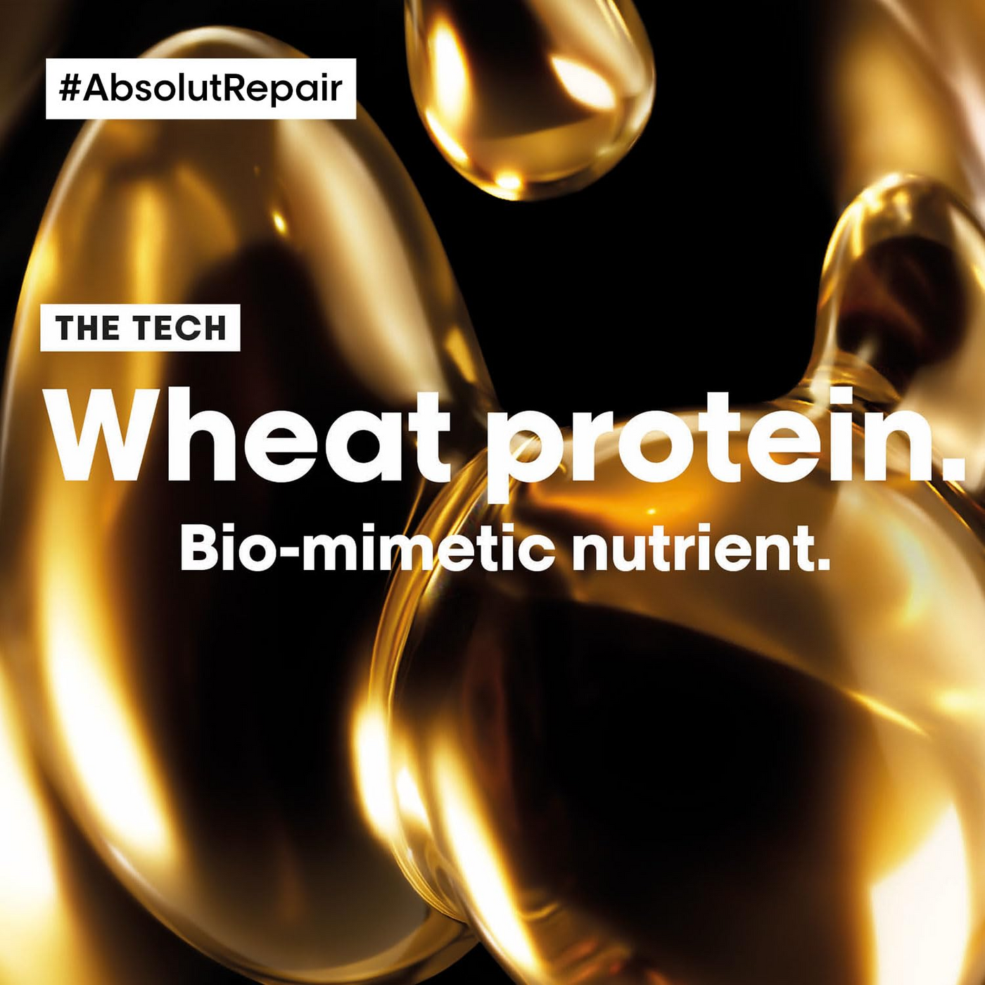 L'Oreal Professionnel Absolut Repair Hair Mask For Dry and Damaged Hair (490gm)