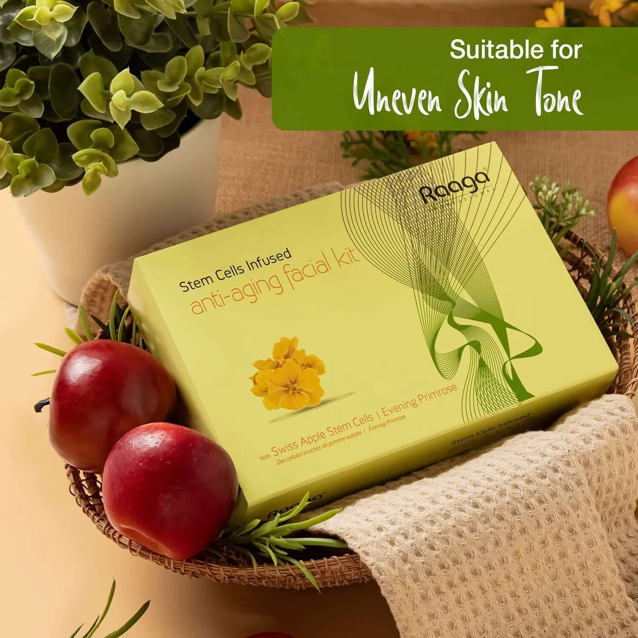 Raaga Professional Anti-Aging Stem Cells Facial Kit – 6 Step Complete Skincare with Evening Primrose & Swiss Apple Stem Cells | Restores Youthful Radiance – 61 gm