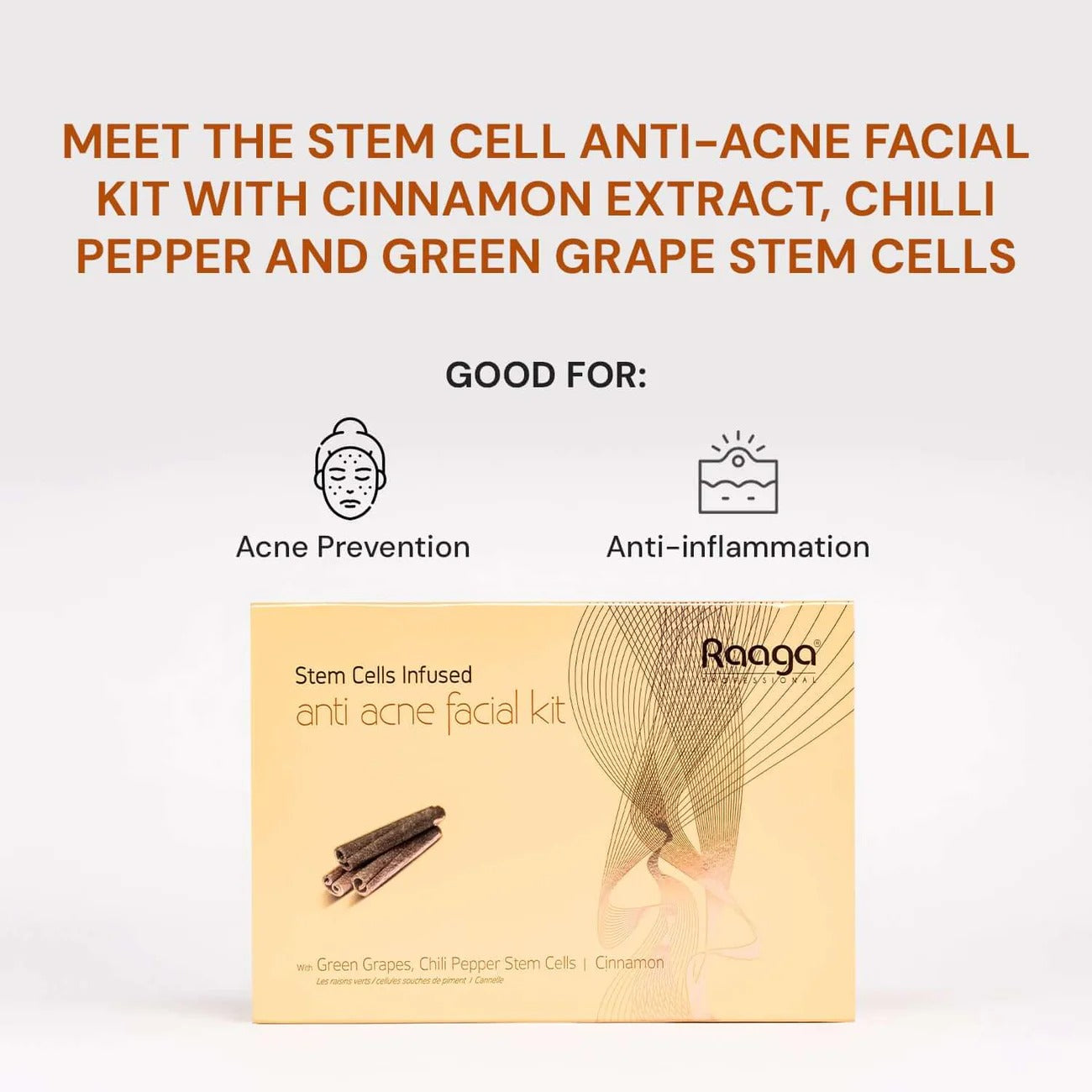 Raaga Professional Anti-Acne Stem Cells Facial Kit – 6 Step Advanced Treatment with Cinnamon, Green Grape & Chilli Pepper Stem Cells | Fights Inflammation & Clears Acne – 61 gm