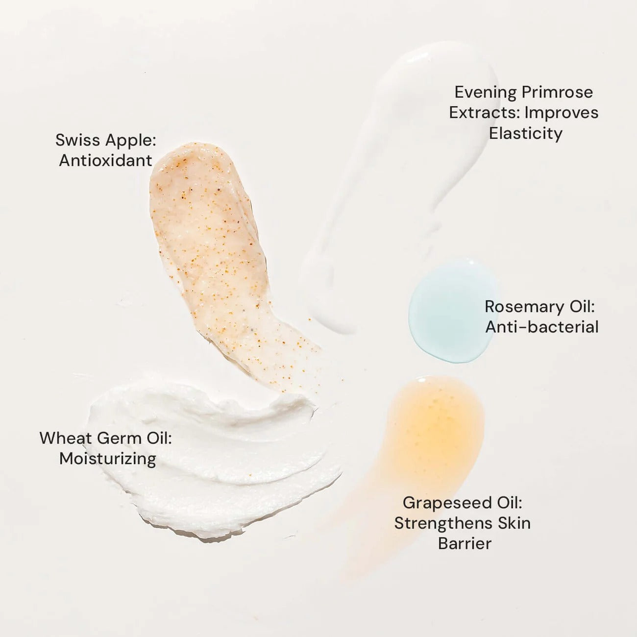 Raaga Professional Anti-Aging Stem Cells Facial Kit – 6 Step Complete Skincare with Evening Primrose & Swiss Apple Stem Cells | Restores Youthful Radiance – 61 gm