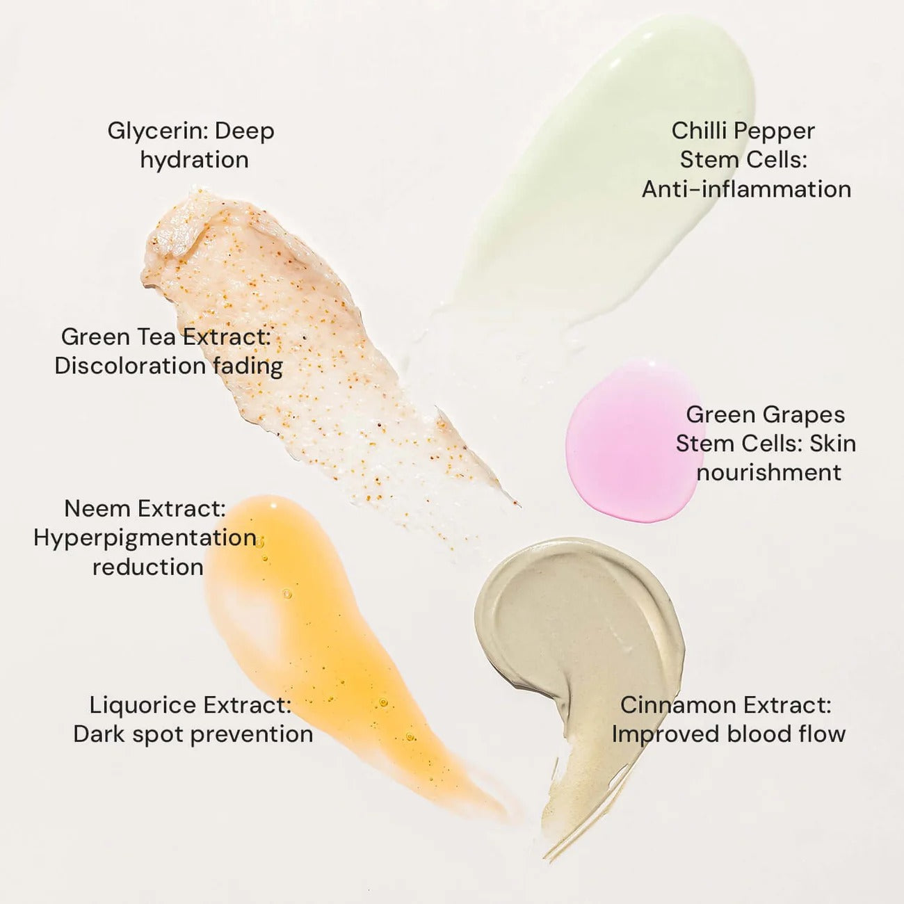 Raaga Professional Anti-Acne Stem Cells Facial Kit – 6 Step Advanced Treatment with Cinnamon, Green Grape & Chilli Pepper Stem Cells | Fights Inflammation & Clears Acne – 61 gm