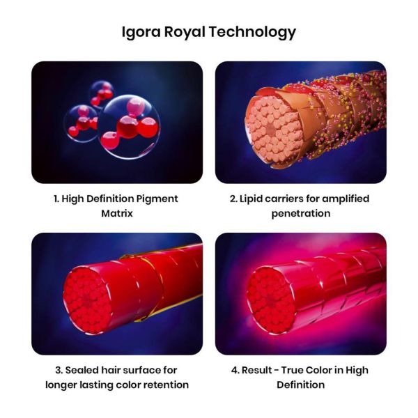 Schwarzkopf Professional Igora Royal Fashion Permanent Color Creme (L-44 Beige Extra)