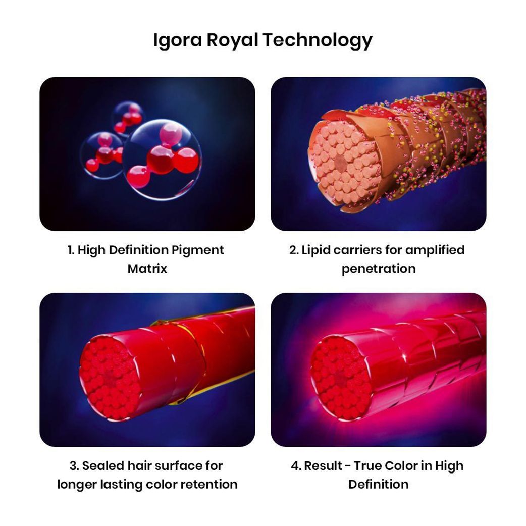 Schwarzkopf Professional Igora Royal Permanent Color Creme (5-99 Light Brown Violet)