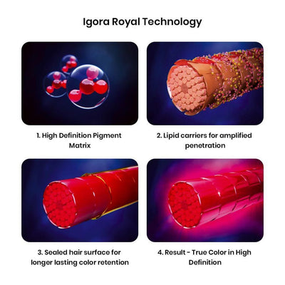 Schwarzkopf Professional Igora Royal Permanent Color Creme (3-0 Dark Brown)